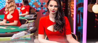 8ibet